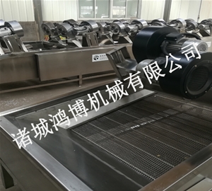 山东清洗风干流水线
