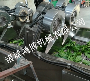 山东肉类风干设备
