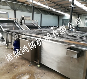 山东海鲜类清洗机