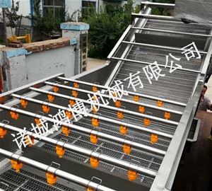 山东人参清洗机