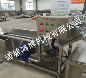 山东香菇清洗机