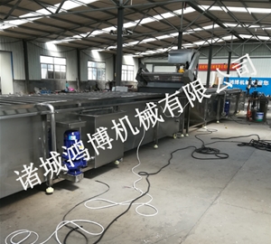 山东食用菌类清洗机