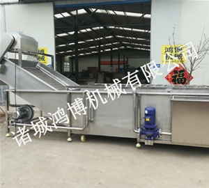 山东大型商用蔬菜清洗机