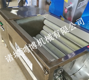 山东连续式毛刷清洗去皮机