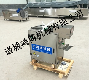 山东多功能水果削皮机