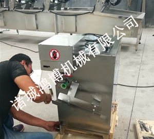 山东饮料厂专用削皮设备